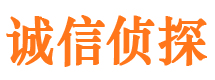 炉霍市私家侦探